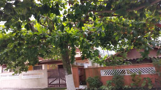 Dejanira dos Santos Rodrigues-ME: salão de beleza em Balneário Arpoador, Peruíbe (foto 3)
