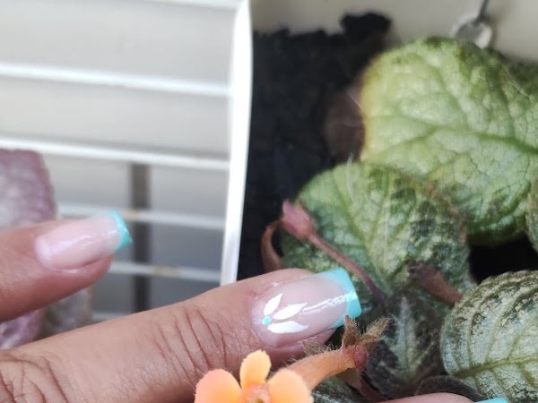 Grazi Gonçalves nails: unhas em Boqueirão, Praia Grande (foto 2)