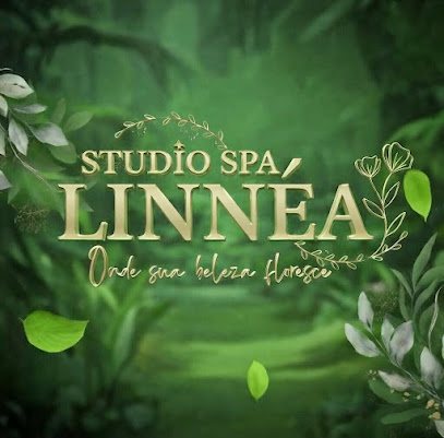 Studio Spa Linnéa: estética em Centro, São Vicente