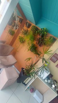 Ana & Lu Coiffeur Unissex: cabelo em Vila Sonia, Praia Grande