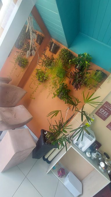 Ana & Lu Coiffeur Unissex: cabelo em Vila Sonia, Praia Grande (foto 2)