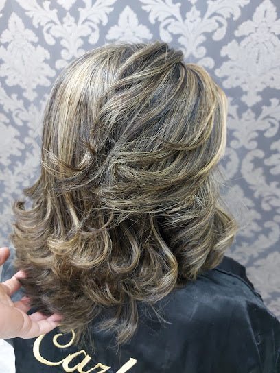 Salão & Beleza especialista em loiro e Mega Hair Quimicas em Geral: cabelo em SAMAMBAIA, Praia Grande